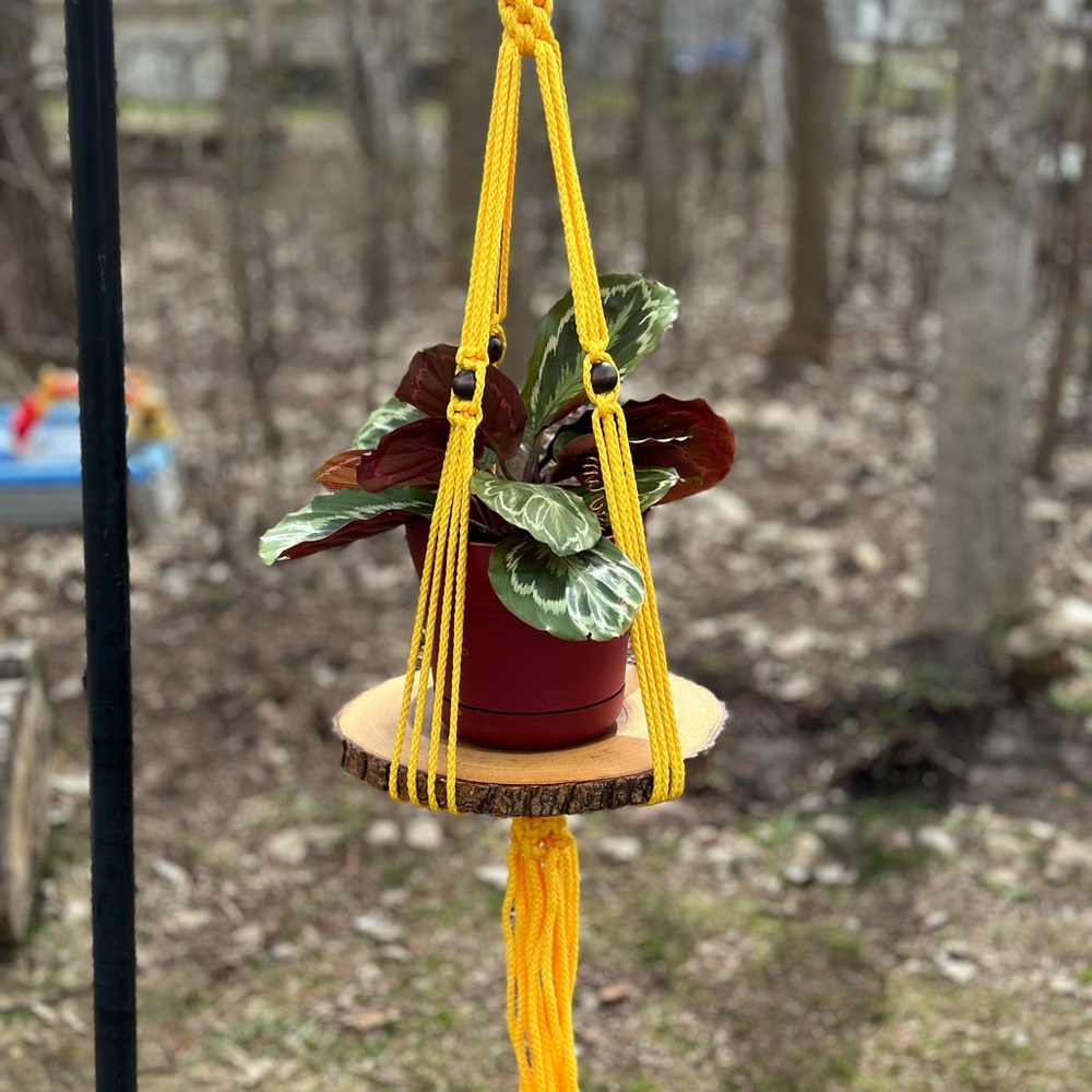 Handmade yellow beaded macrame plant hanger